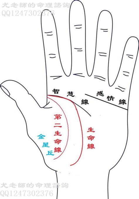 生命線分兩條|手相基礎學（二）生命線